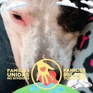 Meet your Posher, Connie